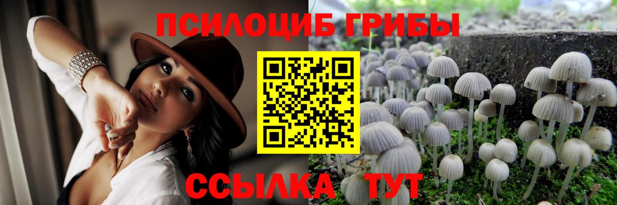 что такое наркотик  Псилоцибиновые грибы мухоморы  Вход с VPN  Фурманов 