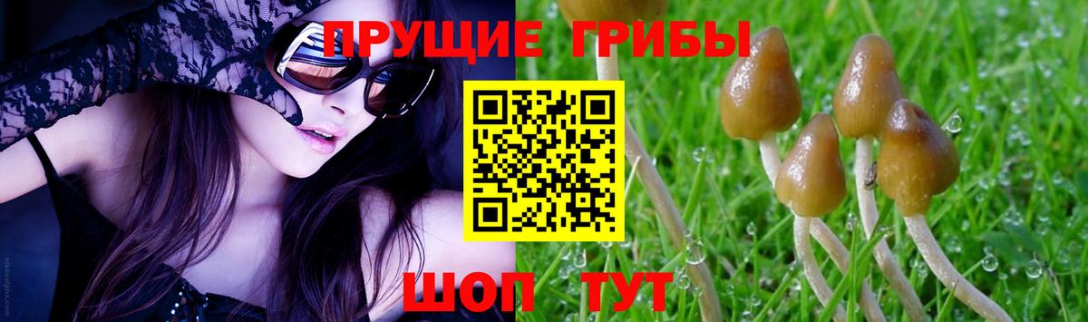 Псилоцибиновые грибы мухоморы Фурманов